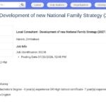 Consultant local – Stratégie nationale de planification