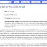 Coordonnateur de Projet GFFO – Protection & WASH