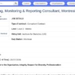 Consultant en planification, suivi et reporting