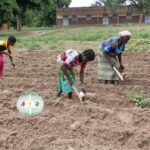 Burkina : campagne agricole tardive à Dokuy, les producteurs s&rsquo;activent