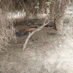 Opérations de sécurisation en cours près d’Anefis au Mali