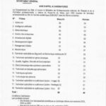Cent bourses marocaines pour la formation professionnelle au Mali