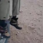 Mali : chute de postes d’observation à Anefis, des soldats capturés
