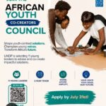 Conseil des jeunes co-créateurs africains du PNUD – Appel à
