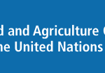Spécialiste en conception de projets FEM (FAO)