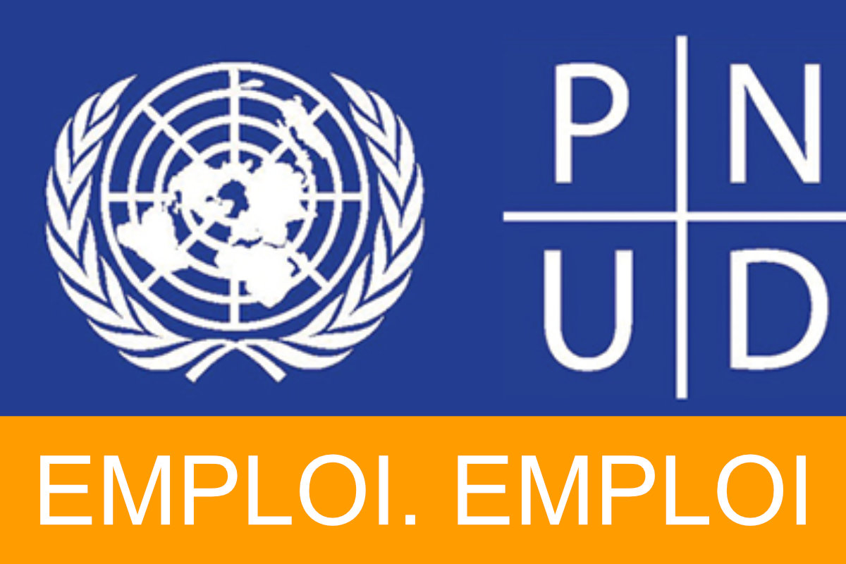Poste de consultant au PNUD au Bénin