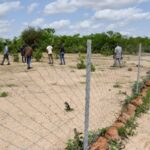 Burkina : PIDACC supervise la restauration des terres par RNA et scarification