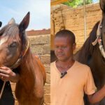 Journée du cheval : deux figures du sport équestre burkinabè