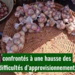 Burkina : hausse des prix des condiments due aux pluies tardives