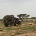 Bétail volé récupéré par l&rsquo;armée malienne et le corps africain