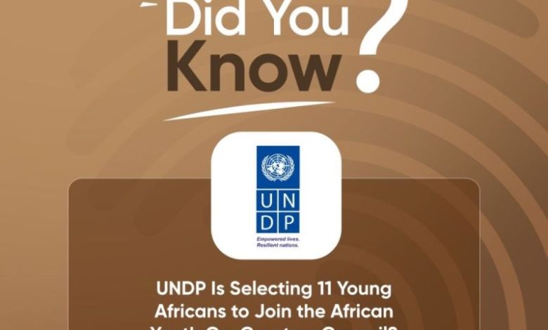 UNDP Africa: Recrutement de 11 Jeunes Leaders