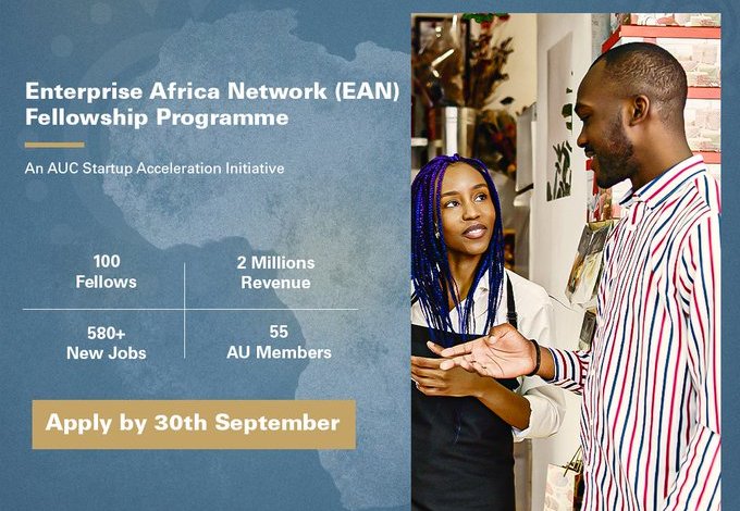 AU Enterprise Africa Network Fellowship 2026/27