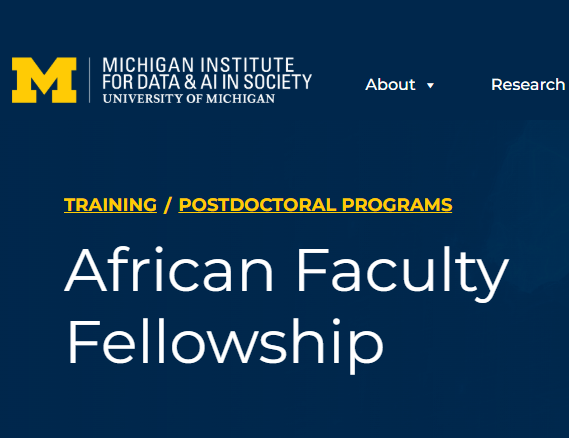 AI in Science African Faculty Fellowship 2027