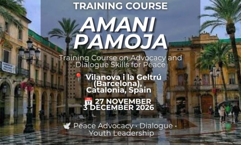 Programme de formation en plaidoyer pour la paix en Espagne