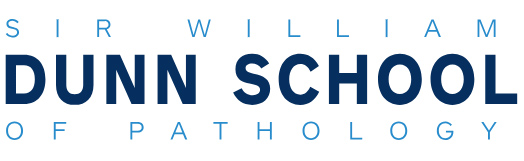 PhD Studentship Projects 2027 à l&rsquo;Université d&rsquo;Oxford