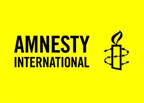 Investigateur Armes et Conflits – Amnesty International
