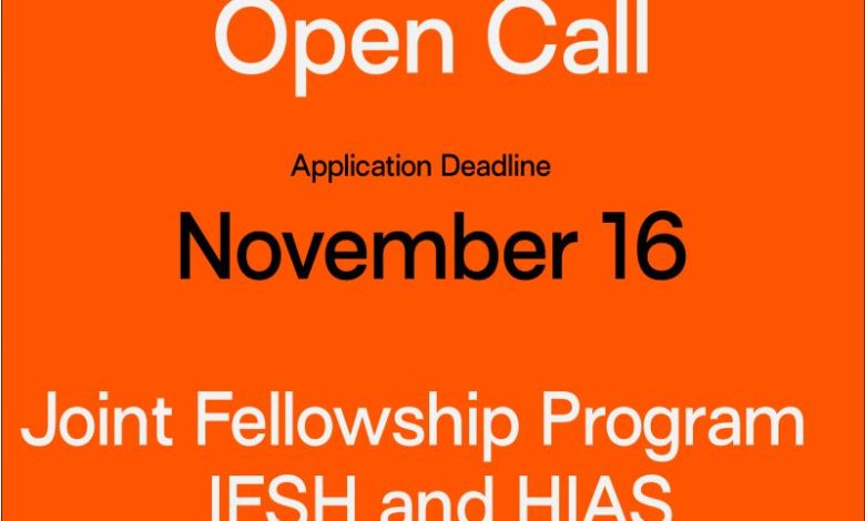 Joint HIAS and IFSH Fellowship Program 2027
