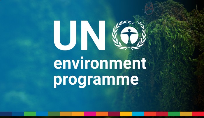 Stage Marketing ONU: UNEP Télétravail 6 mois 2026