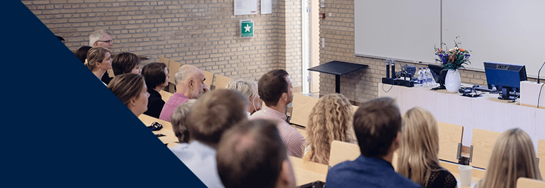 Bourses Visiting Fellowships 2027 AIAS Danemark
