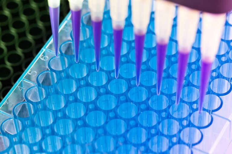 Rare Disease Reporting Fellowship & Grants 2026
