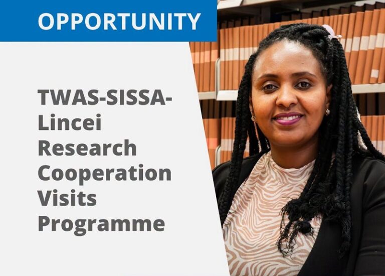 Programme de Coopération de Recherche TWAS-SISSA-Lincei