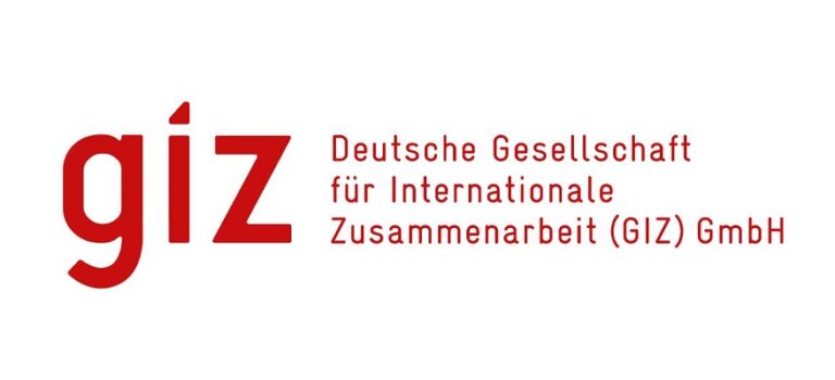 Stage en Politique Mondiale de la Santé – GIZ 2026