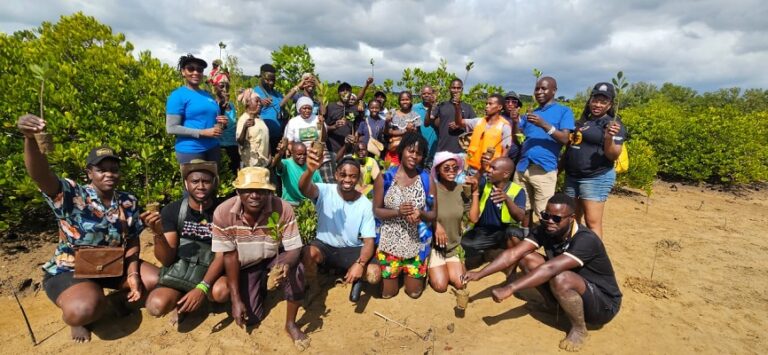 FAO Young Forest Champions Initiative 2026