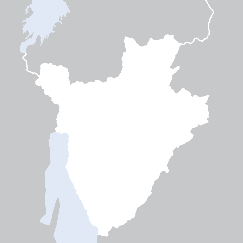 Consultant(e) en capitalisation – Projet Paludisme Burundi