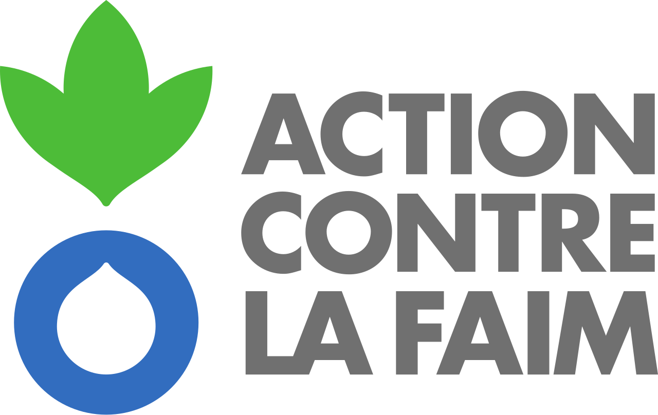 Expert SIG Humanitaire H/F – Goz Beïda
