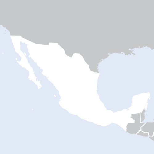Gestor/a de Casos de Protección Infantil – Tapachula