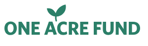Associé Senior / Manager Rotationnel DRC