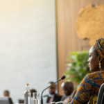 Actualité Commission économique des Nations Unies pour l’Afrique : illustration éditoriale liée à Clôture de la CCDA-14 : appels pour financement climatique, renforcement d'agence et meilleure mise en œuvre avant la COP3