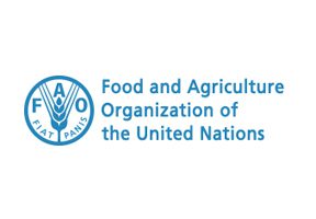 Programme de Stage FAO 2027 au Siège