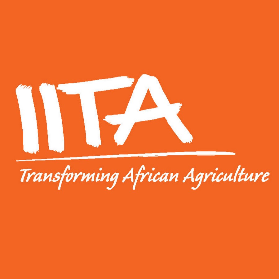 Programme de Stage Graduate IITA 2026 : Opportunité pour