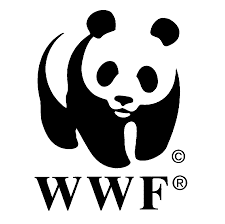 Programme de mentorat WWF-Amano 2026 pour jeunes leaders