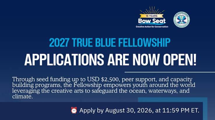 Bow Seat True Blue Fellowship 2027 : Bourse Jeunes Artistes – 7 octobre 2026