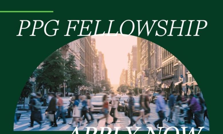 Research Fellowship 2026 – Partners for Public Good – 16 octobre 2026