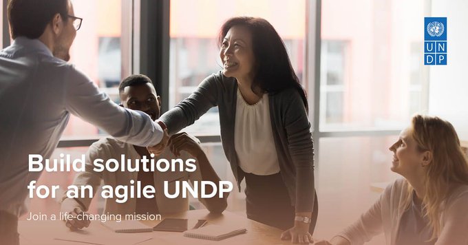 UNDP Technical Advisor IPSA-11 in Pretoria (South Africa)
