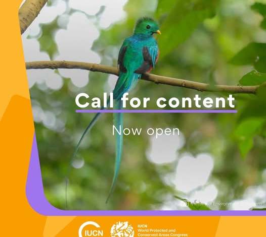 Appel à contributions : Congrès UICN 2027 Panama – 20 octobre 2026