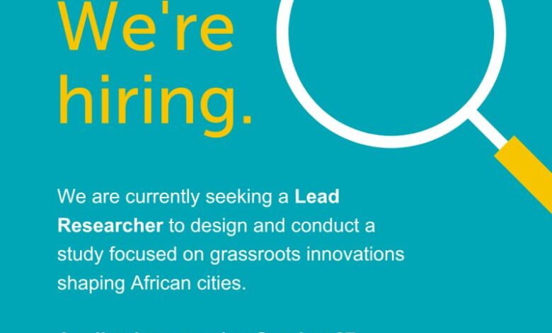 Lead Researcher – African Urban Development Consultancy – 24 octobre 2026