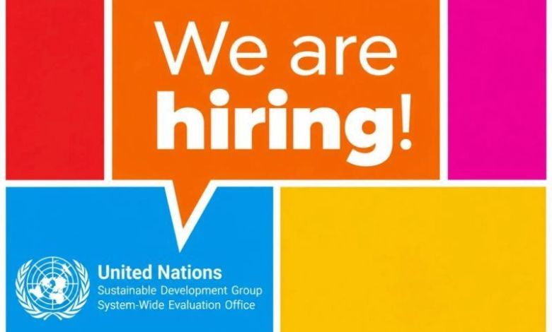 Stage ONU : Sustainable Development Group (Remote/NY 2027) – 26 octobre 2026