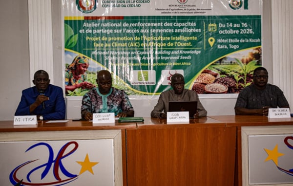 Semences au Togo : formation des acteurs agricoles à Kara