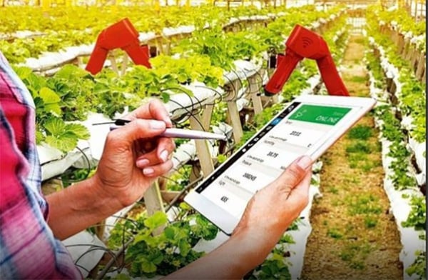 Togo : une plateforme en ligne pour les permis agricoles