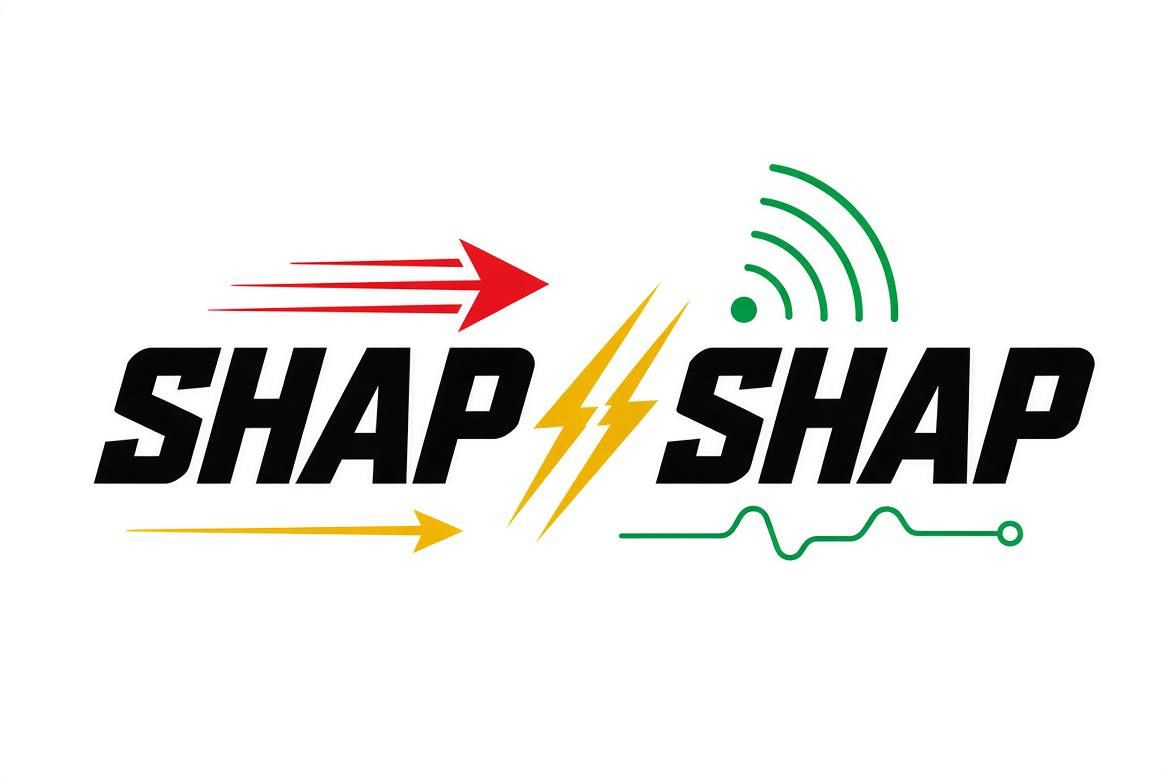 Lancement officiel du collectif SHAP SHAP au Burkina Faso