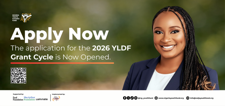 NYFF Youth Leadership Development Fund 2026