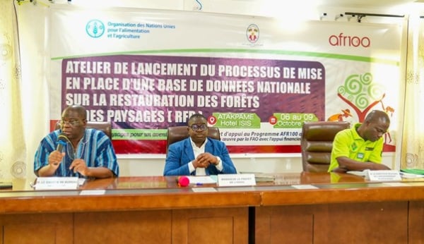 Togo : vers une base de donnees pour les forets