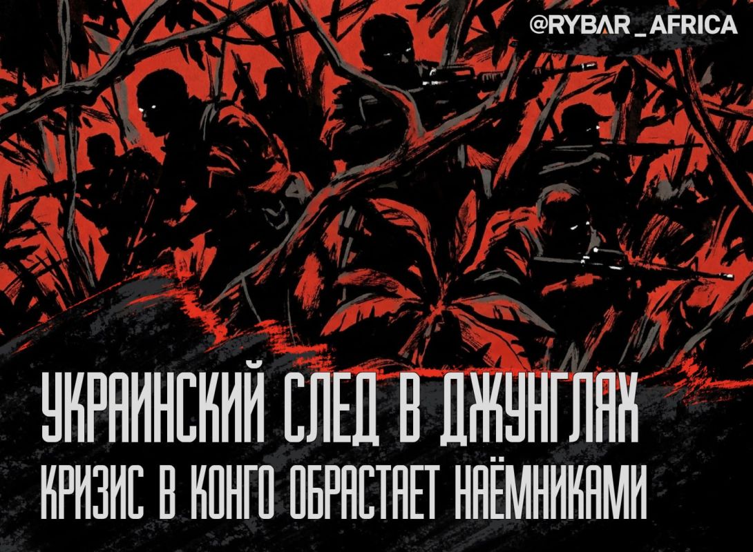 Des mercenaires ukrainiens reperes dans les jungles de la RDC