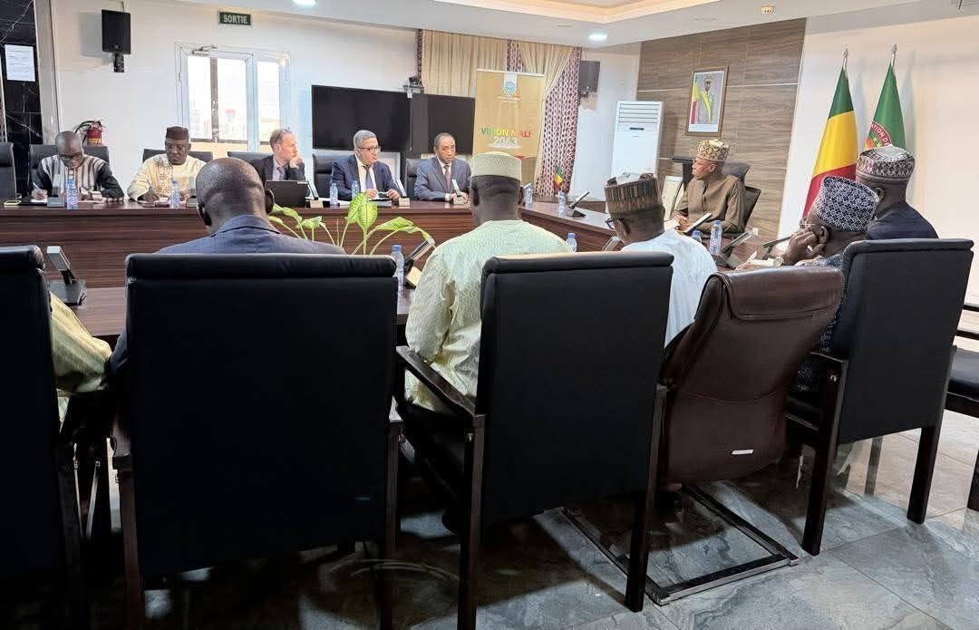 Mali et FMI étudient un programme de Facilité élargie de crédit