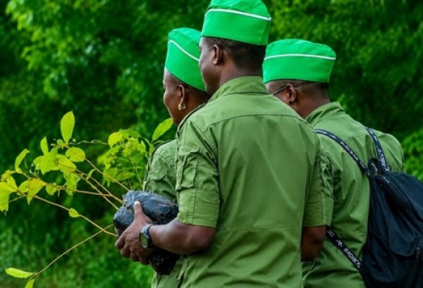 Des brigades mobiles surveillent les forêts au Togo