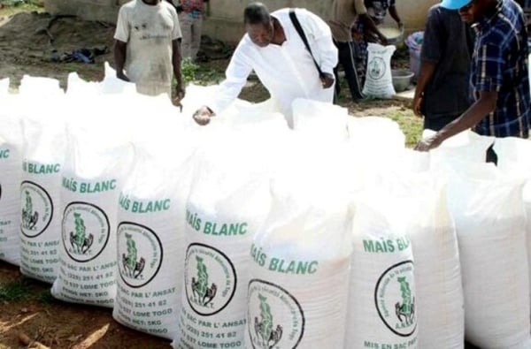 Campagne d&rsquo;achat de c&eacute;r&eacute;ales lanc&eacute;e au Togo par l&rsquo;ANSAT